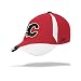 Calgary Flames *The Flow* Flex Cap