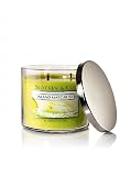 Bath and Body Works Slatkin & Co Island Margarita Scented Candle - 14.5oz Filled Candle