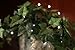Starlite Creations Battery Operated LED Ultra Slim Wire, 9 ft, 36 LEDs, White Bundle Set