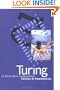 Turing (A Novel about Computation)