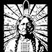 Native American Indian Chief Adult T-Shirt