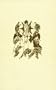 Transfiguration of Our Lord and Savior Jesus Christ