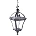 Globe Colonial One-Light Outdoor Pendant, Black with Clear Beveled Globe #4267801