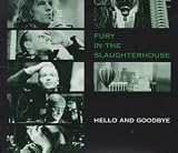 Fury in the Slaughterhouse - Hello & Goodbye