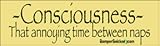 Consciousness-That annoying time between naps - funny bumper stickers (Medium)