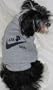 "Air Dog" T-shirt for Dogs 4-10 lbs
