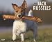 Books : Just Jack Russells 2009 Calendar (Just)