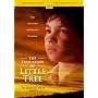 Education Of Little Tree [DVD] [1987]