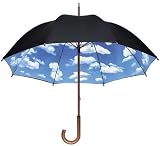 ���ł���60cm�P/�X�J�C�A���u�����i���J���pUV�J�b�g99.9%�j�����킢���J�P ���P�ʔ́�