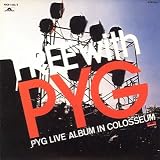 FREE WITH PYG