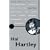 Hal Hartley (Pocket Essentials)