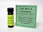 Cool Mint & Eucalyptus Pure Essential Oil Blend