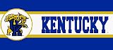 Kentucky Wildcats NCAA Licensed 7 H x 15' L Border