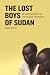 The Lost Boys Of Sudan: An American Story Of The Refugee Experience width=