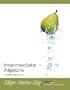 Intermediate Algebra (Martin-Gay Developmental Math Series)