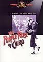 The Purple Rose of Cairo (Widescreen)