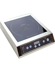 Berghoff Professional Induction Cooker