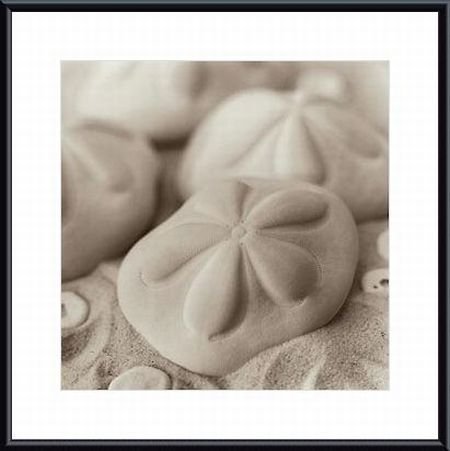 Barewalls Interactive Art 328318S60-WTM,CM,BLM La Mer 4, Metal Framed Art Print- White Metal-Black Mat