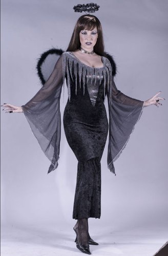Costumes For All Occasions FW5059SD Fallen Angel sml Med