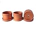 Set of 3 Natural Terracotta Round Fat Walled Garden Planters with Individual Trays. Indoor or Outdoor Use