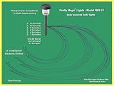 Firefly Lights by Firefly Magic - 12 Solar Powered Electronic Fireflies (Model FMS-12)