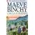 Circle of Friends (Coronet Books)