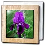 Purple Iris - 6 Inch Tile Napkin Holder