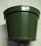 Orchid Pot Green Plastic 7 inch