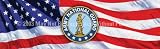 Window Graphic - 16x54 Army national Guard
