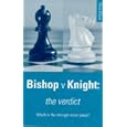 Bishop V. Knight by Steve Mayer