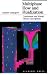 Multiphase Flow and Fluidization: Continuum and Kinetic Theory Descriptions