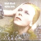 Hunky Dory