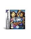 The Sims Bustin' Out