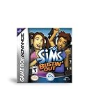 The Sims Bustin' Out