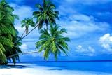 Fihalhohi Island, Maldives Art Poster Print, 36x24