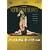 �p���E�I�y�����o���G�u�m�[�g���_���E�h�E�p���v(�S2��) [DVD]