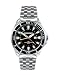 Immersion Whale, GMT, SS # 6851S