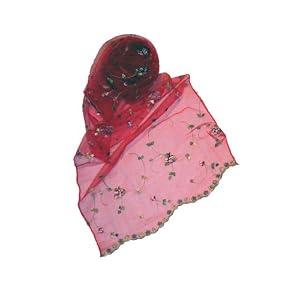Chiffon Silk Style Scarf With Rosebud Embroidery