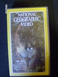 DVD : National Geographic - The Big Cats