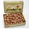 Shallots