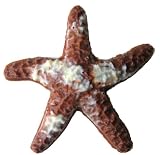 20 Chocolate Starfish Gift Bags - Swirled Chocolate
