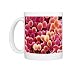Staphylococcus aureus bacteria Photo Mugs