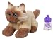 Furreal Friends Kitten (Burmese)