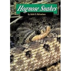 Hognose Snakes (Snakes Discovery Library)