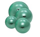 Gymnic Stability Ball Plus