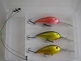 Wobbler 3er Set HECHT Fischen Angeln Angelzubehör NEU