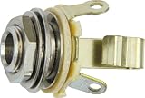 Electric Guitar Parts