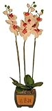 Review i-koncepts Ltd  / 50cm White/Pink Double Stem Orchid Phalaenopsis - Artificial Flower