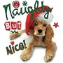 Naughty But Nice-C Adult Sweatshirt