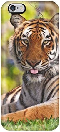 Beauty Full Animalss And Animals Pics Case Compatible With Iphone 6 Plus/ Hot Protection Case